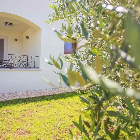 In - Istrien 35437 *